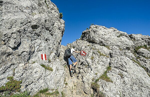 Bergsteiger  Wanderer klettert am Fels  Wanderweg zum Bärenkopf  Karwendel  Tirol  Österreich  Europa