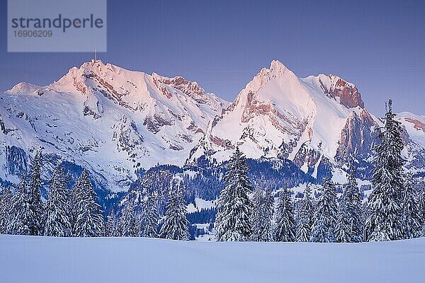 Säntis  Aussicht von Alp Sellamatt  Toggenburg  Schweiz  Europa