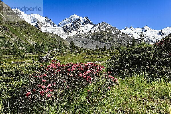 Val Roseg  Schweiz  Europa