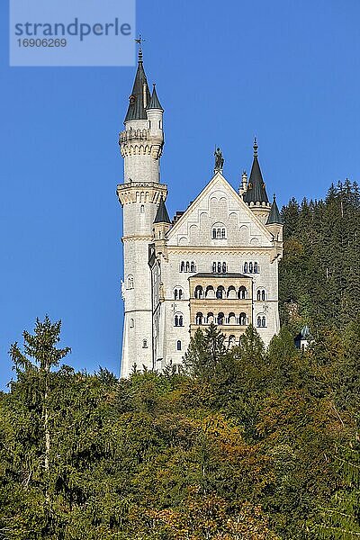 Schloss Neuschwanstein im Herbst  Schwangau  Bayern  Deutschland  Europa