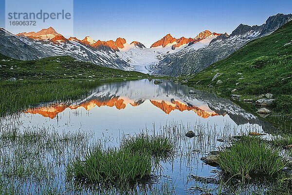 Schweizer Alpen (m) Sommer  Oberaargletscher  Oberaarhorn  3638 m  Finsteraarhorn  4274m  Berner Oberland  Bern  Schweiz  Europa