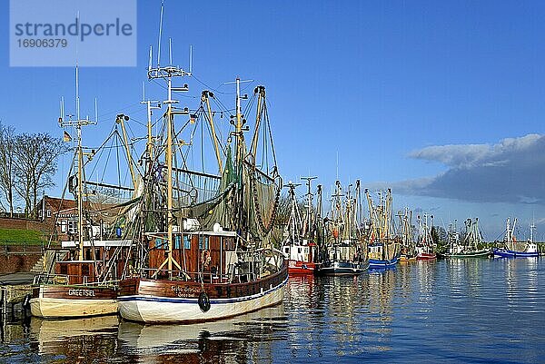 Krabbenkutter im Hafen von Greetsiel  Nordsee  Niedersachsen  Deutschland  Europa