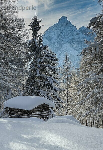 Winterlandschaft  Wald  Hütte für Heu  hinten Serles  Eulenwiesen  Gleinser Berg  Mieders  Innsbruck-Land  Tirol  Österreich  Europa