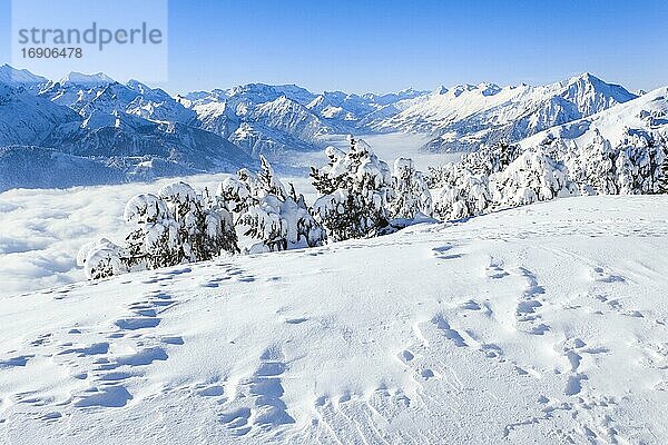 Berner Alpen mit Blick übers Kandertal mit Niesen  Schweiz  Europa