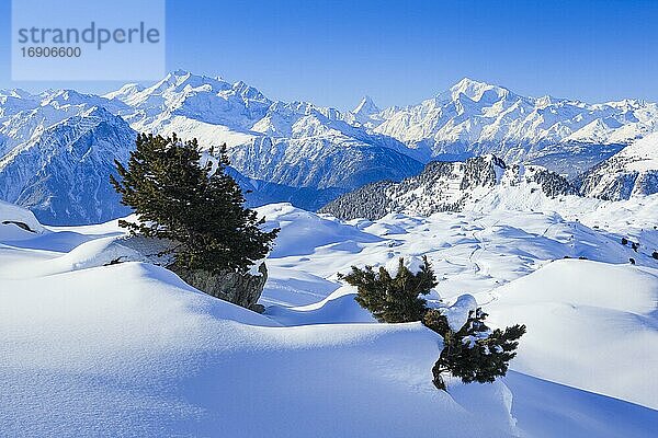 Schweizer Alpen  Alphubel  4206 (m)  Dom  4545 m  Mischabel  Matterhorn  4477 m  Weisshorn  4505 m  Unesco Welterbe  Wallis  Schweiz  Europa