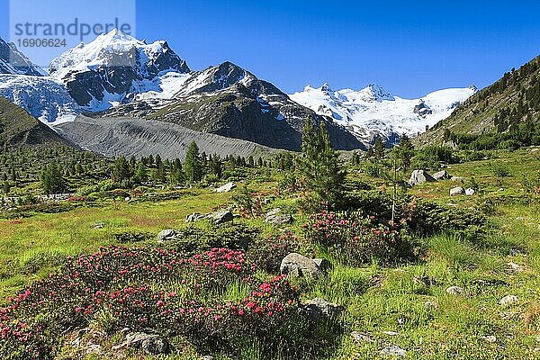 Val Roseg mit Piz Roseg  Schweiz  Europa