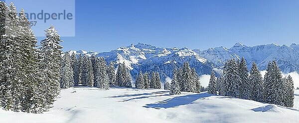 Freiberge Kärpf  Glarner Alpen  Schweiz  Europa