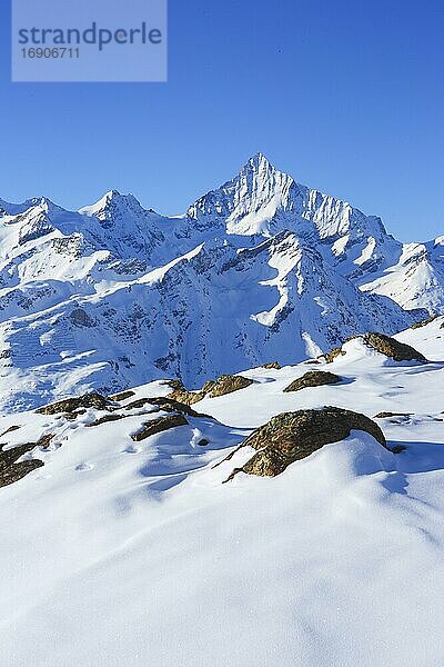 Weisshorn  4505m  Zermatt  Wallis  Schweiz  Europa