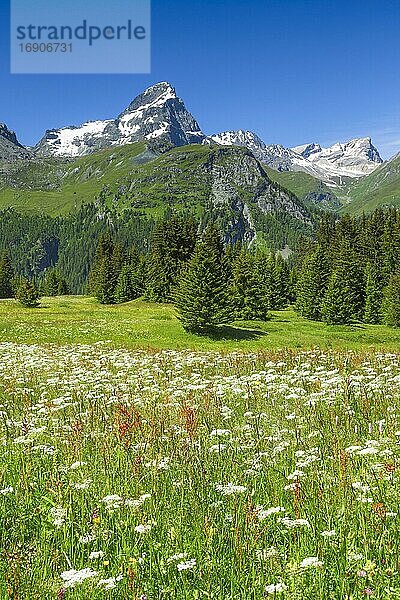Alp Flix  Schweiz  Europa