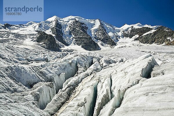 Pers Gletscher mit Aussicht auf Piz Palü  3905 (m)  Bellavista  3922 m  Graubünden  Schweiz  Europa