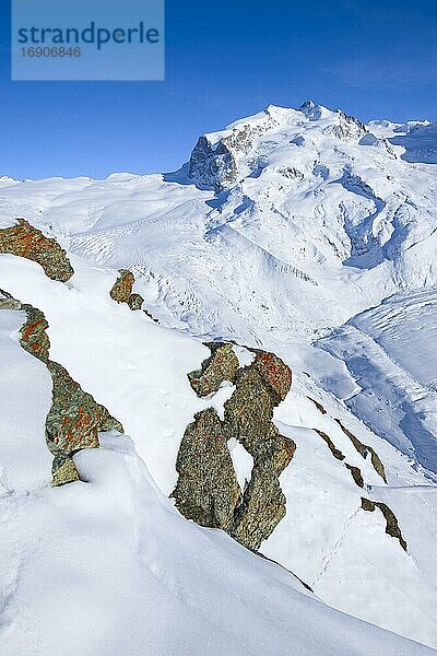 Monte Rosa  4633 m  Dufourspitze -4634m  Wallis  Schweiz  Europa