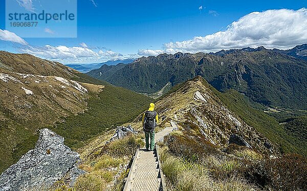 Wanderer auf Wanderweg  Ausblick auf Kepler Mountains  am Wanderweg Kepler Track  Great Walk  Fiordland National Park  Southland  Neuseeland  Ozeanien