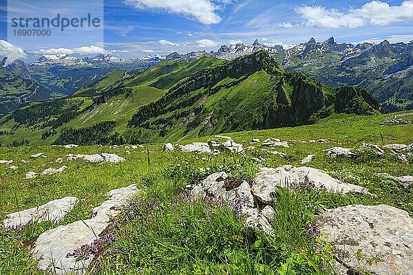 Schweizer Alpen mit Chaiserstock  Fulen und Rossstock  Schweiz  Europa