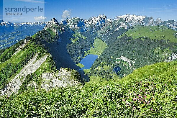 Aussicht Hoher Kasten  Appenzell und St. Gallen  Schweiz  Europa