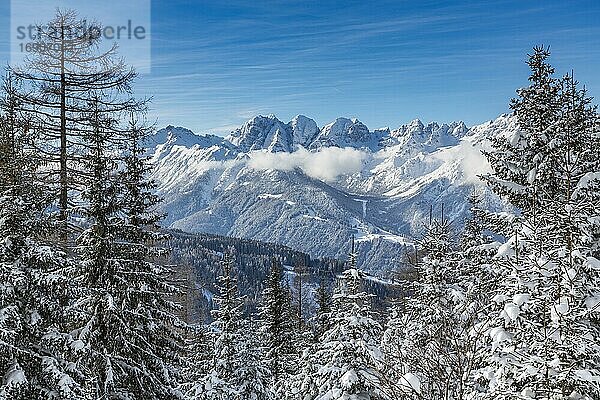 Winterlandschaft  Wald  hinten Kalkkögel  Eulenwiesen  Gleinser Berg  Mieders  Innsbruck-Land  Tirol  Österreich  Europa