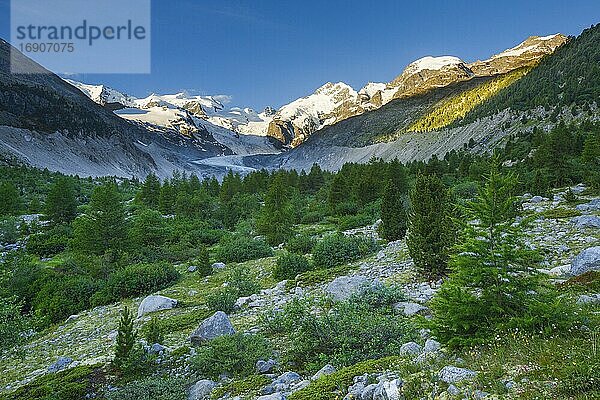 Morteratsch Tal  Piz Palü  3905 m  Piz Bernina  4049 m  Biancograt  Morteratsch Gletscher  Graubünden  Schweiz  Europa