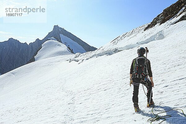 Bergsteiger bei einer Hochtour am langen Seil über ein Schneefeld am Altmann  Kanton Wallis  Schweiz  Europa