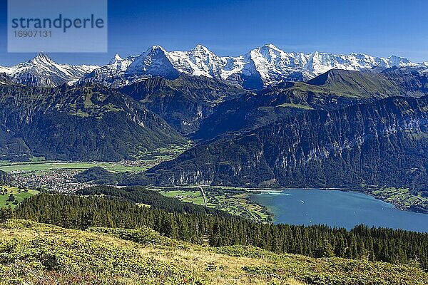 Schweizer Alpen  Aussicht v (m) Niederhorn  Eiger  3974 m  Mönch  4099 m  Jungfrau  4158m  Thunersee  Interlaken  Herbst  Berner Oberland  Bern  Schweiz  Europa
