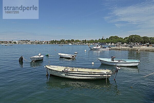 Boote im Hafen  Umag  Istrien  Kroatien  Europa