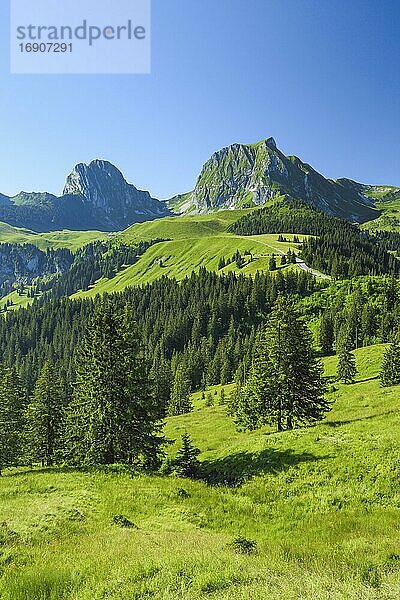 Schweizer Voralpen  Nünenen  2101m  Gantrisch  2175 m  Bern  Schweiz  Europa