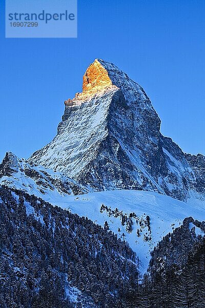Matterhorn  4478 (m)  Zermatt  Wallis  Schweiz  Europa