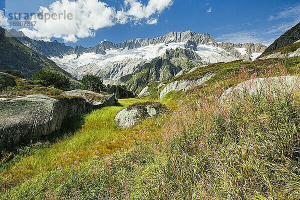 Dammastock  3630m  Göscheneralp  Uri  Schweiz  Europa