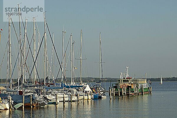 Yachthafen  Ostseebad Rerik  Mecklenburg-Vorpommern  Deutschland  Europa