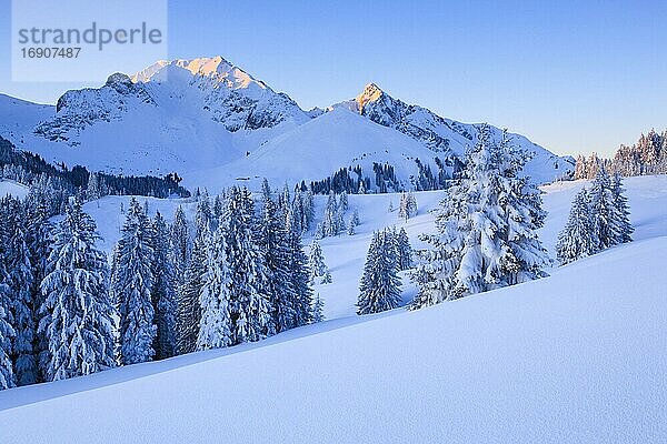 Schweizer Voralpen  Bürglen  2165 (m)  Ochsen  2188 m  Gurnigel  Schweiz  Europa