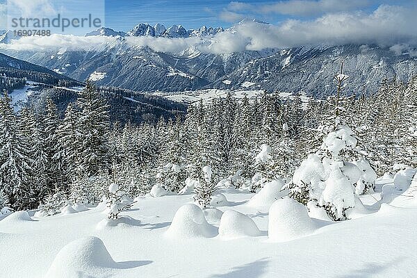 Winterlandschaft  Wald  hinten Stubaital und Kalkkögel  Eulenwiesen  Gleinser Berg  Mieders  Innsbruck-Land  Tirol  Österreich  Europa