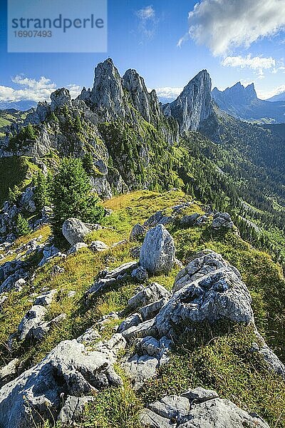 Gastlosen  Freiburger Voralpen  Schweiz  Europa