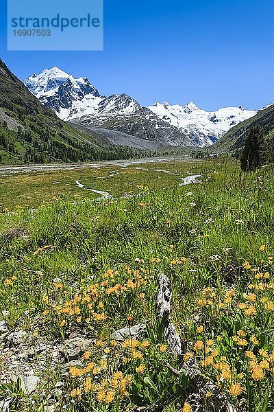 Val Roseg  Piz Roseg  Graubünden  Schweiz  Europa