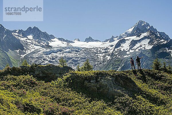 Wanderer blicken auf Bergpanorama vom Aiguillette des Posettes  Aiguille de Tour und Aiguille de Chardonnet  Chamonix  Haute-Savoie  Frankreich  Europa