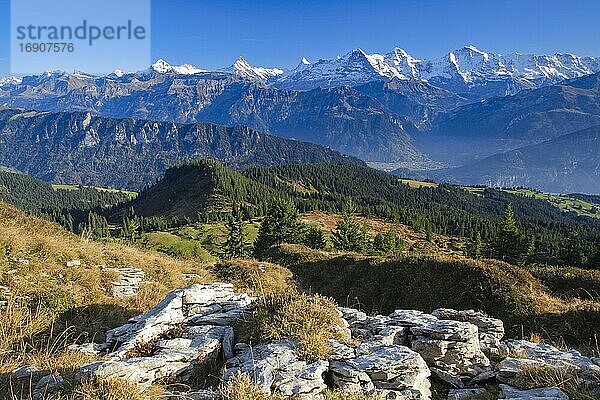 Schweizer Alpen  Aussicht vom Niederhorn  Schreckhorn  4078 m  Finsteraarhorn  4274 m  Eiger  3974 m  Mönch  4099 m  Jungfrau  4158m  Herbst  Berner Oberland  Bern  Schweiz  Europa