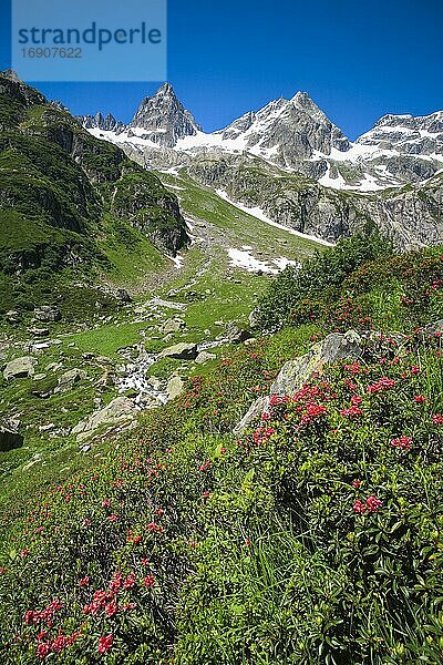 Fünffingerstöck  2994m  Wendenhorn und Wasenhorn am Sustenpass  Schweiz  Europa