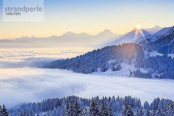 Schweizer Alpen und Voralpen mit Schreckhorn  4078 (m)  Eiger  3974 m  Mönch  4099 m  Aussicht Gurnigel  Schweiz  Europa