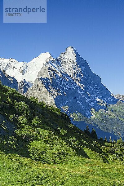 Eiger  Mönch  Schweiz  Europa