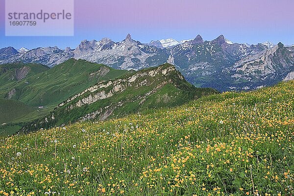 Schweizer Alpen mit Chaiserstock  Fulen und Rossstock  Schweiz  Europa