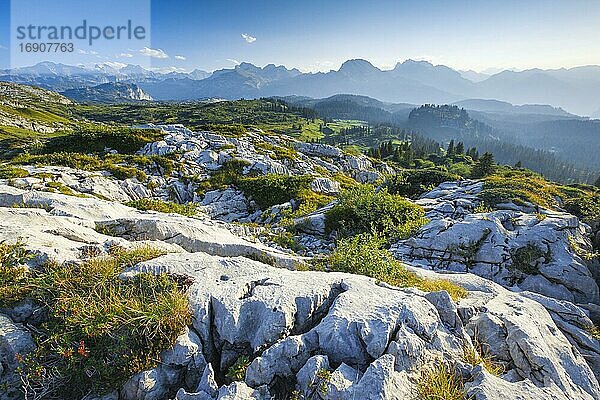 Karstlandschaft am Pragelpass  Schwyz  Schweiz  Europa
