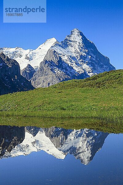 Eiger und Mönch  Grindelwald  Schweiz  Europa