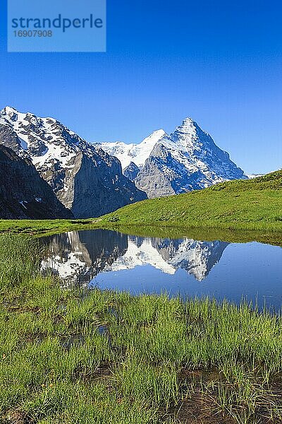 Große Scheidegg  Eiger und Mönch  Grindelwald  Schweiz  Europa