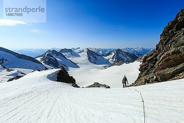 Bergsteiger bei einer Hochtour am langen Seil über ein Schneefeld am Altmann  Kanton Wallis  Schweiz  Europa