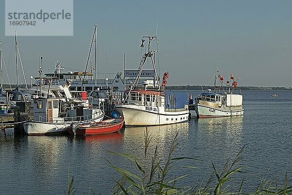 Fischereianleger Rerik  Fischerboote  Ostseebad Rerik  Mecklenburg-Vorpommern  Deutschland  Europa