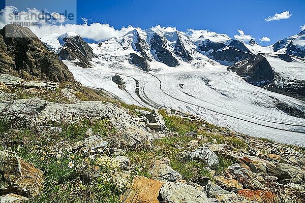 Aussicht von der Diavolezza  2978 (m)  Piz Palü  3905 m  Bellavista  3922 m  Pers Gletscher  Graubünden  Schweiz  Europa