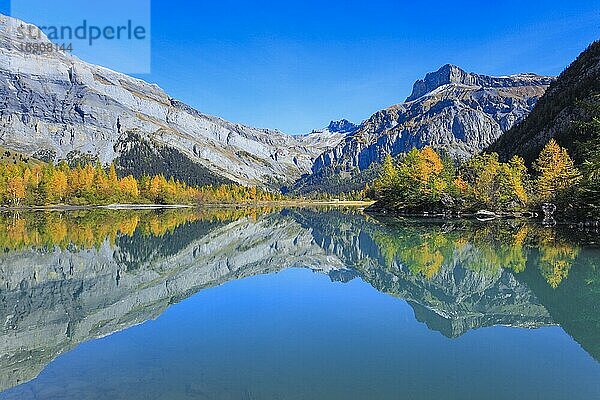 Lac de Derborence und Mont Gond  Wallis  Schweiz  Europa