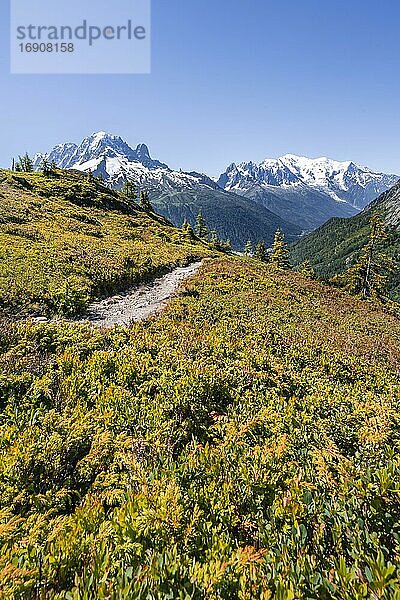 Wanderweg  Bergpanorama vom Aiguillette des Posettes  links Gipfel des Aiguille Verte  rechts Aiguille du Midi und Mont Blanc  Chamonix  Haute-Savoie  Frankreich  Europa