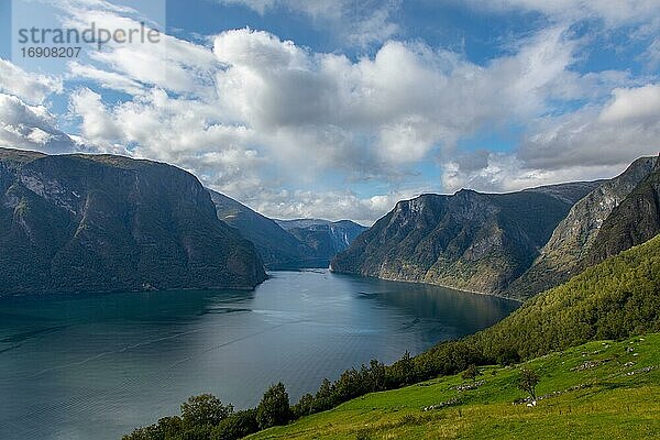 Ausblick von Aurlandsvegen auf Aurlandsfjord  Norwegen  Europa