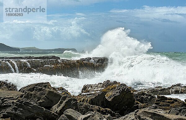 Hohe Wellen  spritzende Gischt  Wellen schlagen gegen Felsküste  stürmisches Meer  Curio Bay  Southlands  Südinsel  Neuseeland  Ozeanien