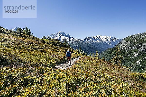 Wanderin auf Wanderweg  Bergpanorama vom Aiguillette des Posettes  links Gipfel des Aiguille Verte  rechts Aiguille du Midi und Mont Blanc  Chamonix  Haute-Savoie  Frankreich  Europa