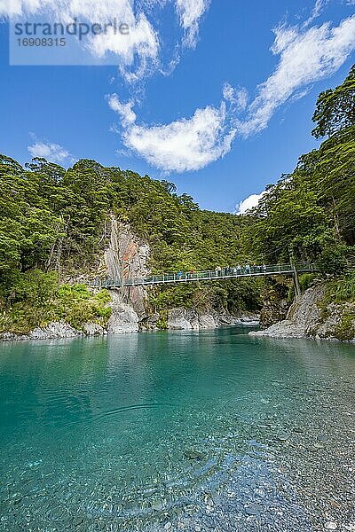 Brücke bei den Blue Pools Felsbecken  Makarora River  türkises kristallklares Wasser  Haast Pass  West Coast  Südinsel  Neuseeland  Ozeanien