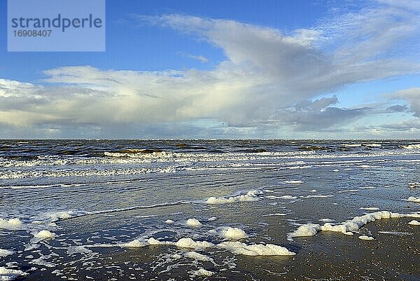 Wellen am Sandstrand mit Schaumbildung  blauer Himmel mit tief ziehenden Quellwolken (Cumulus) über der Nordsee  Norderney  Ostfriesische Inseln  Niedersachsen  Deutschland  Europa